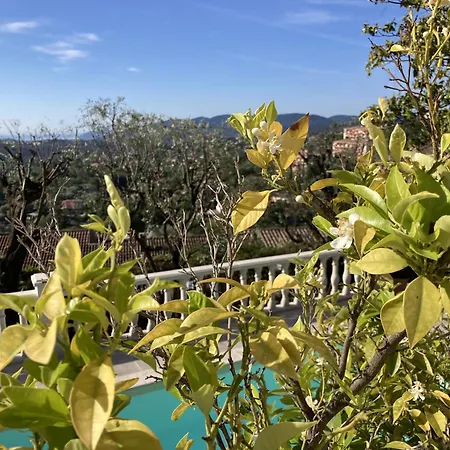 Gæstehus Les Petites Terrasses