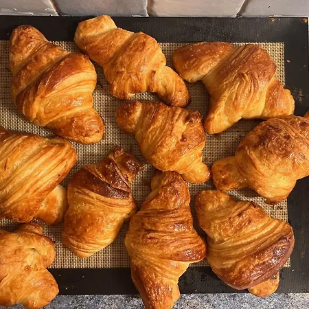 Gæstehus Les Petites Terrasses Grasse